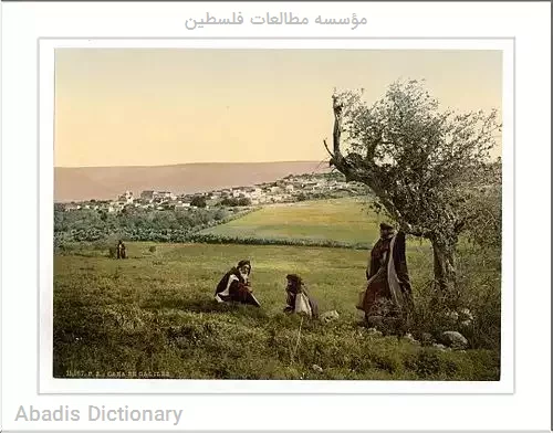 مؤسسه مطالعات فلسطین